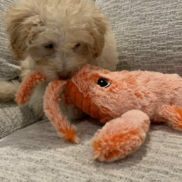 Floppy Lobster™ Interactive Dog Toy