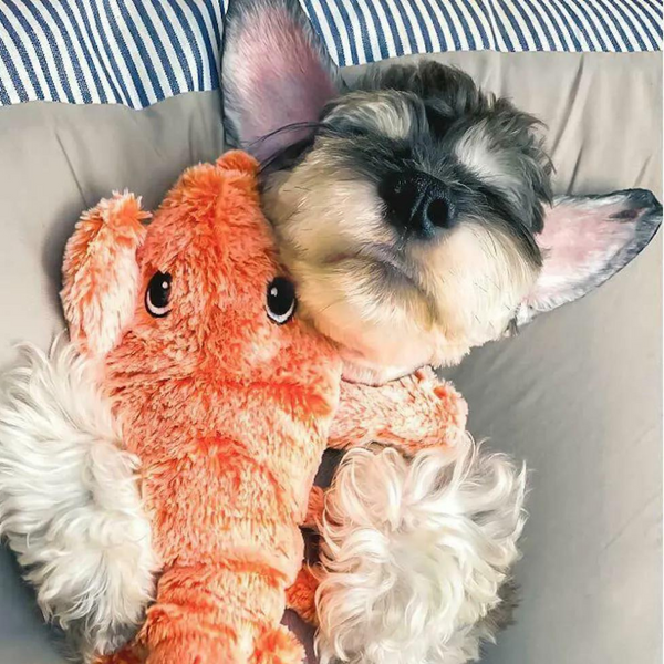 Floppy Lobster™ Interactive Dog Toy