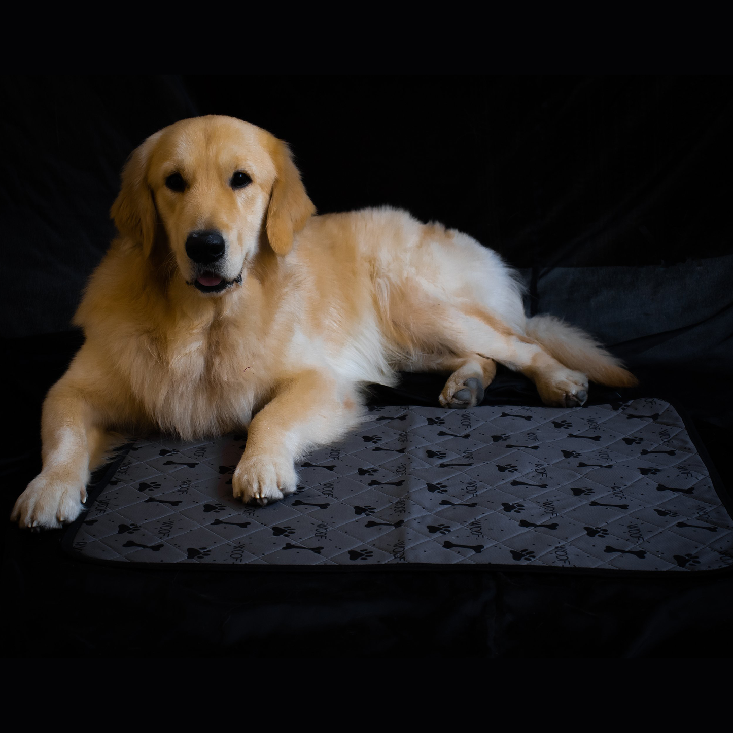 Reusable Dog Pee Pads - Puppy Potty Training Pad