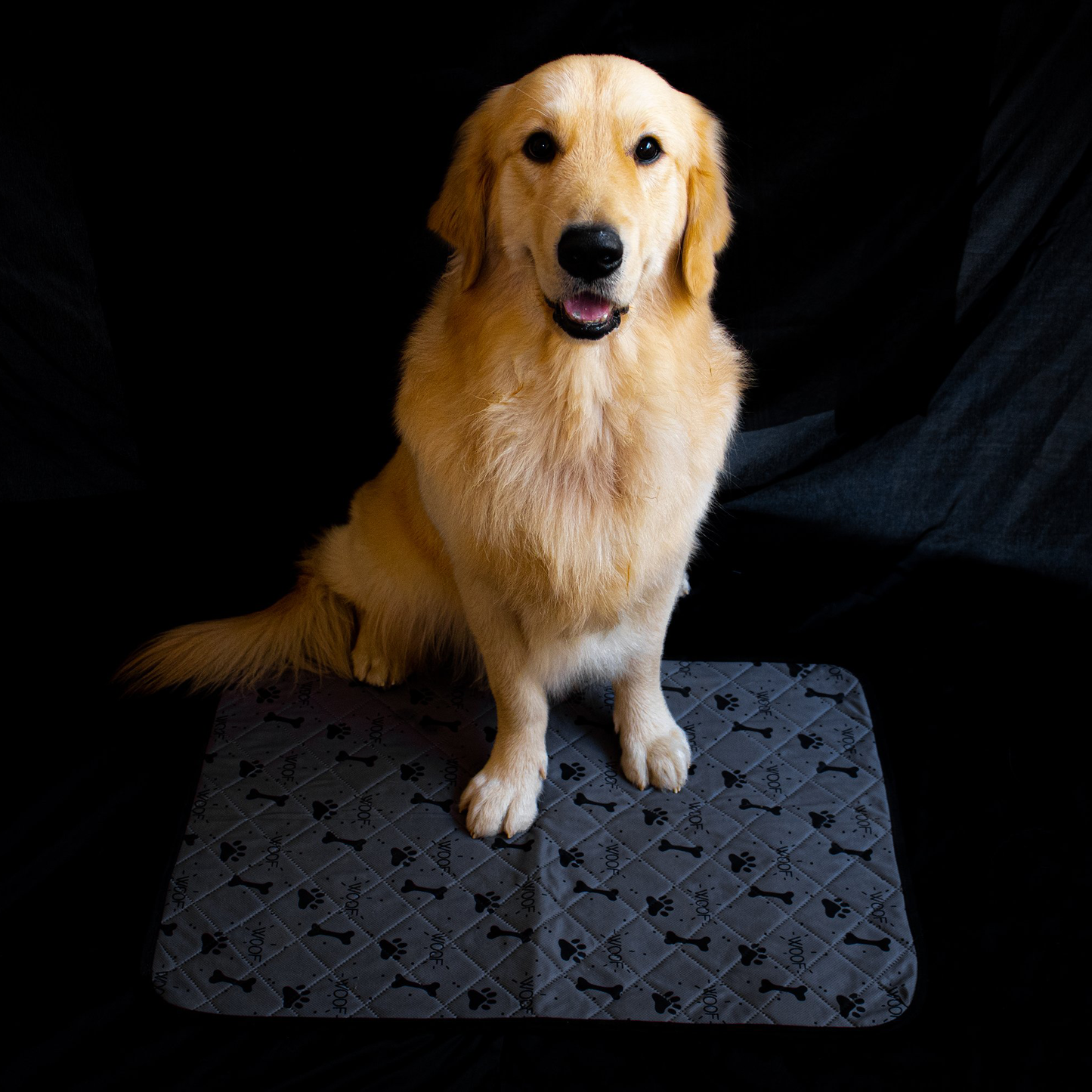 Reusable Dog Pee Pads - Puppy Potty Training Pad