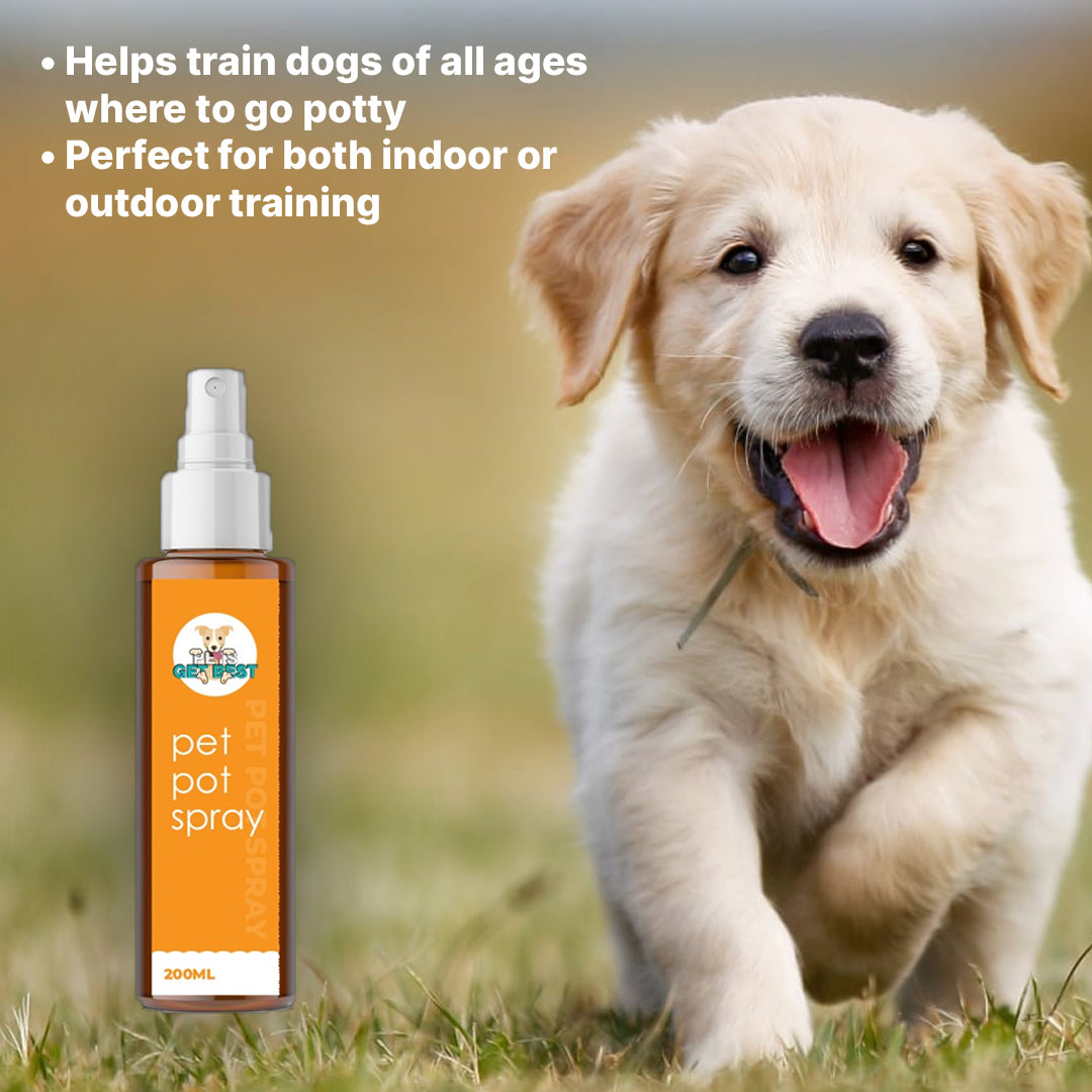 PetPot Spray - Potty Training Spray for Dogs – Pets Get Best