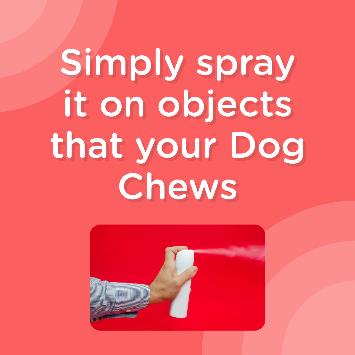 Don't Chew - Anti Chew Spray for Dogs