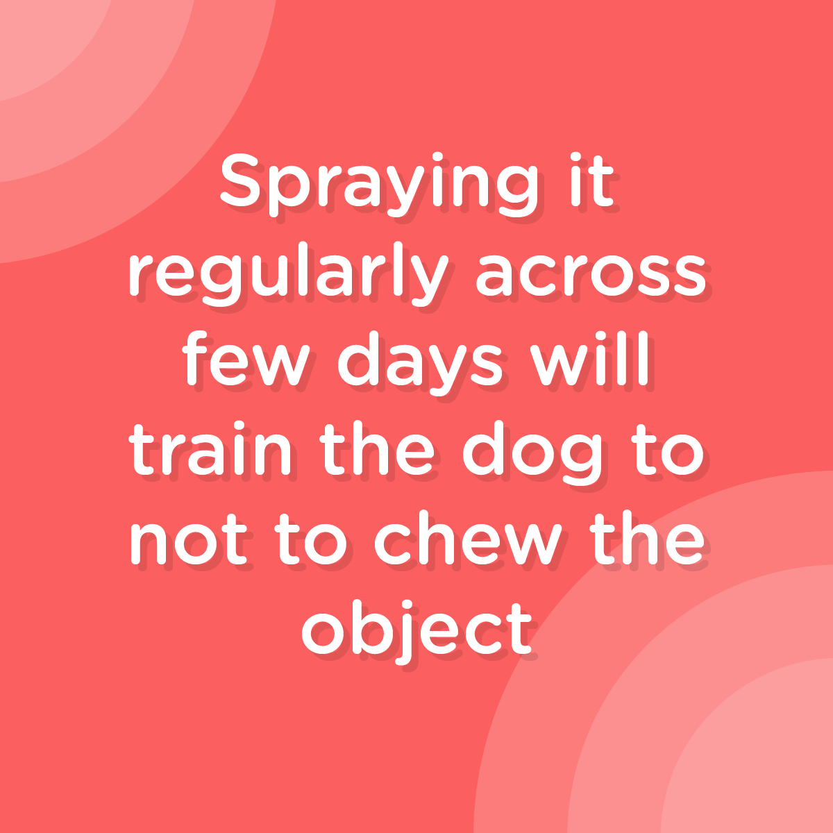 Don't Chew - Anti Chew Spray for Dogs