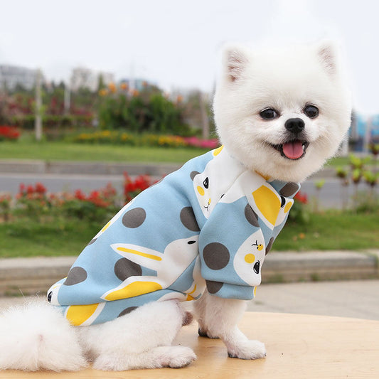 Adorable - Sweater for Dogs