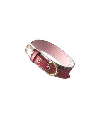 Imperiale - Dog Collar