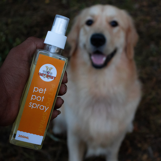 PetPot Spray Potty Training Spray for Dogs Pets Get Best